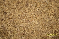 Sholzwurzel, getrocknet, 100 g (1kg/34,17 Euro)