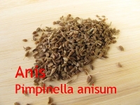 Anisl, s, 30 ml (1l/333,30Euro)