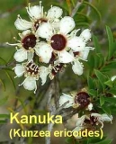 Kanukal, 5 ml (1l/1750,00Euro)