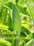 Salbeil, 20 ml (1l/325,00Euro)
