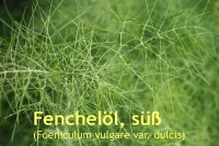 Fenchell, s, 10ml (1L/290,00 Euro)