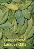 Lorbeerl, 10 ml (1L/369,99 Euro)