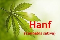 Hanfl, 50 ml (1l/60,00Euro)