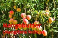 Mangobutter, raff., 100ml (1L/44,00 Euro)