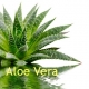 Aloe Vera Gel, 1:1, 100 ml (1l/36,50 Euro)