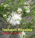 Teebauml, Rosalina, Wildwuchs, 20ml (1l/700,00Euro)