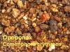 Opoponax, 100g (1kg/74,90 Euro)