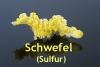Schwefel, gemahlen, 50g (1kg/43,60Euro)